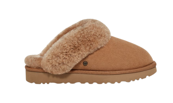 Classic Slipper Ii Chestnut