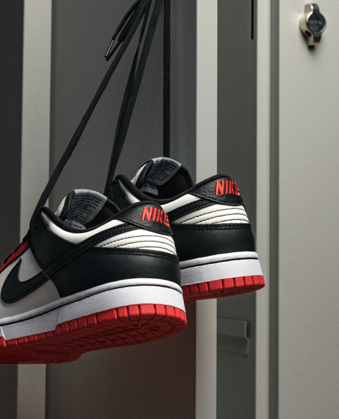 Dunk Low Nba 75Th Anniversary Chicago Bulls - Image 5