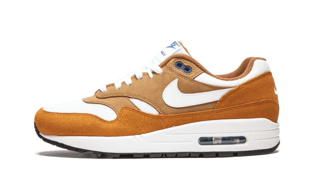 Nike Air Max 1 Curry 2018