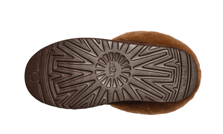 Alternative view of Tazzlita Hardwood