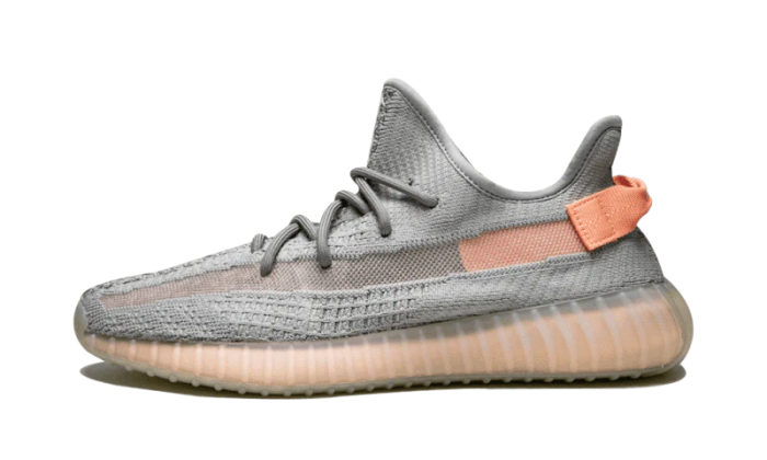 Yeezy Boost 350 V2 True Form - Image 7